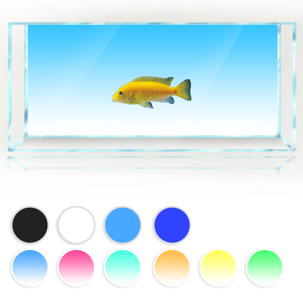 Aquarium Fish Yellow And Black - Cá Nền Trắng Vàng Xanh Lá