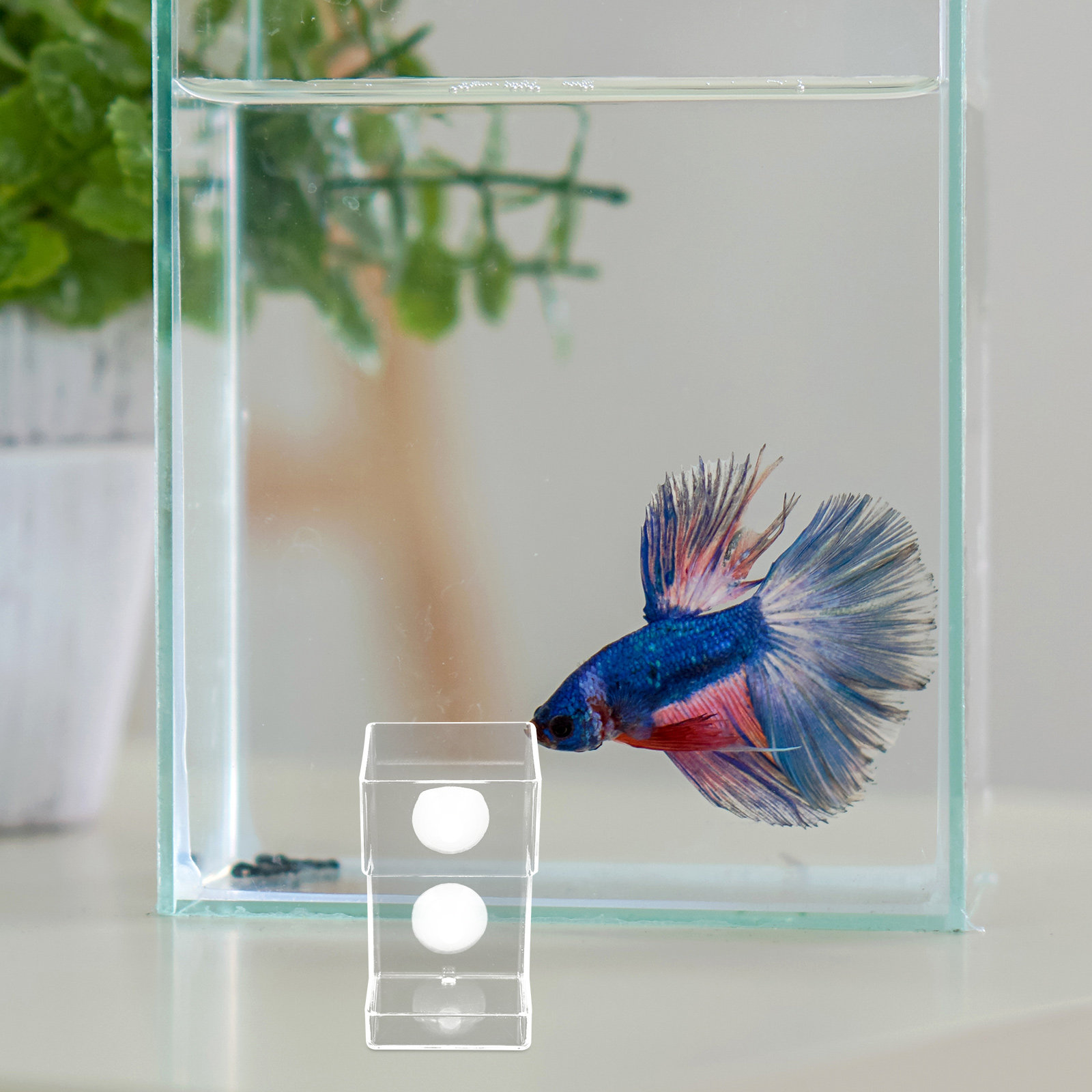 Aquarium Fish Feeder Automatic - Aquarium Acrylic Fish Feeder Floating Tubes