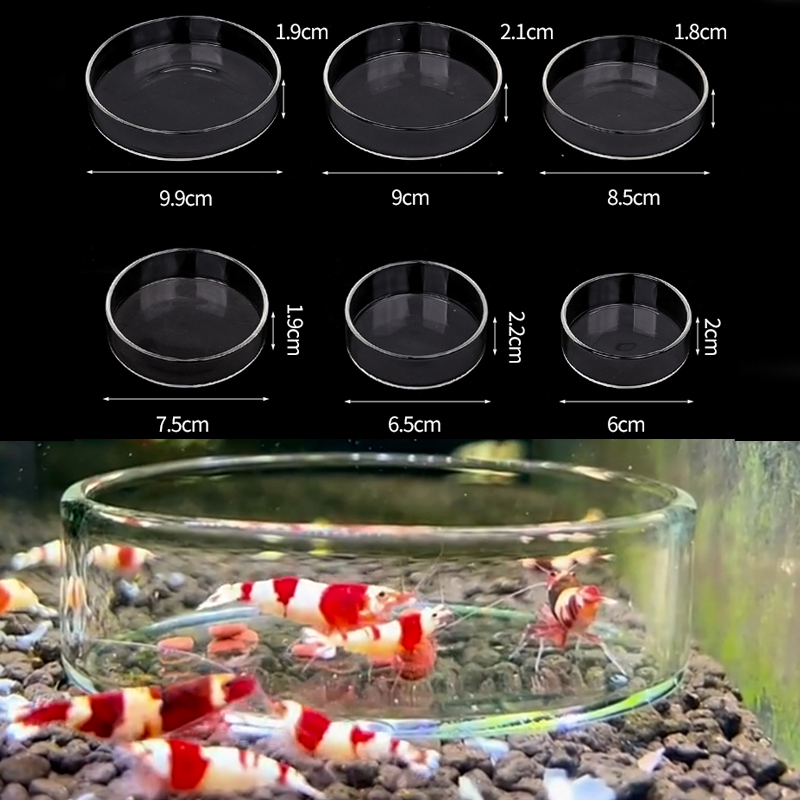 Aquarium Fish Food - Shrimp Feeding Dish High Transparent Glass