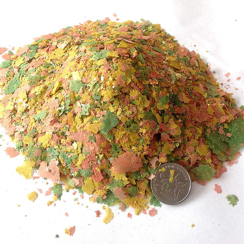 Aquarium Fish Angel - Ornamental Fish Thin Slice Food Tropical