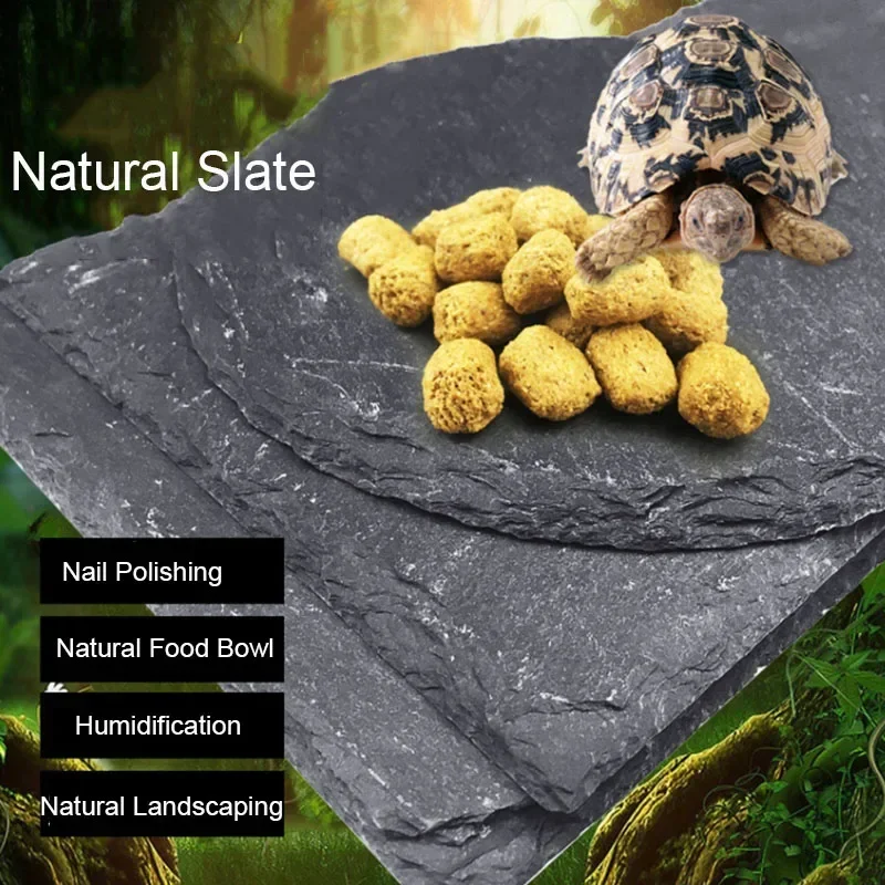Natural Slate Aquarium Pet Rep - đánh giá và giá Aquarium Fish Food