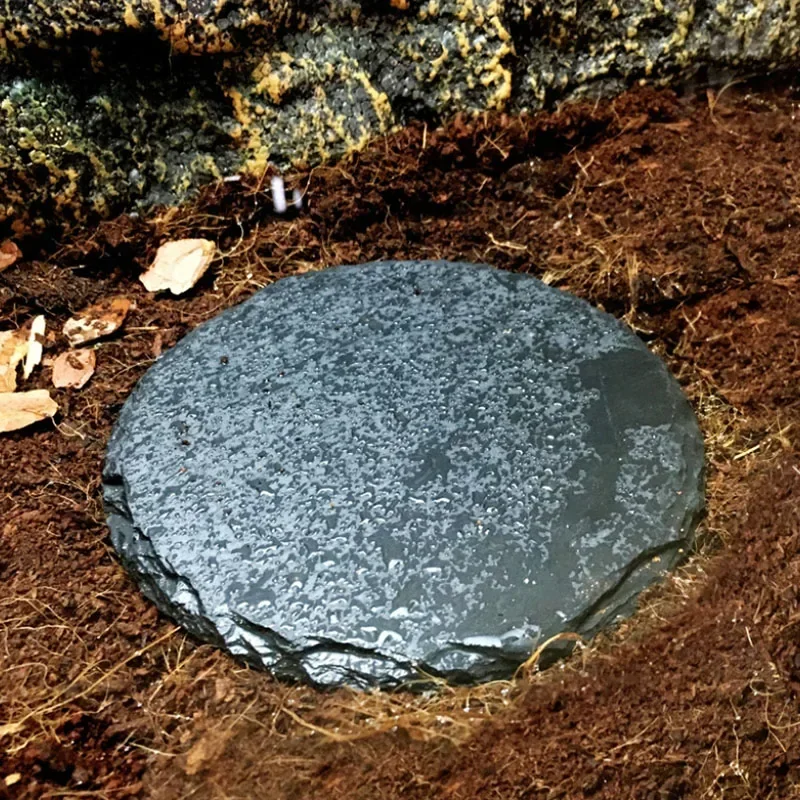 Natural Slate Aquarium Pet Rep - đánh giá và giá Aquarium Fish Food