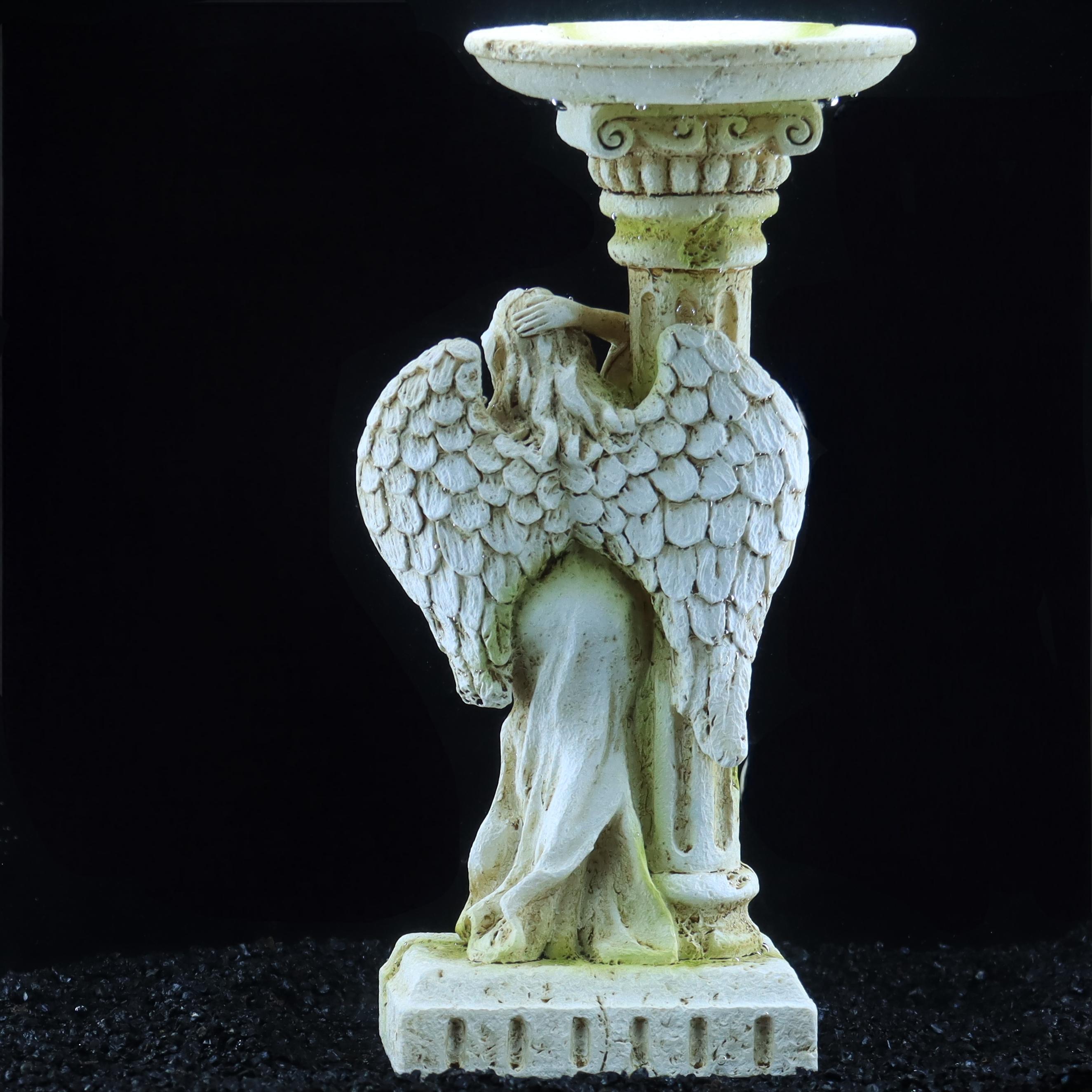 roman angel, vintage romantic  - đánh giá và giá Aquarium Fish Angel