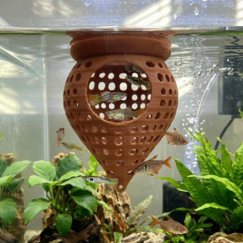 3D Printed Floating Fish Hammo - đánh giá và giá Aquarium Fish Food