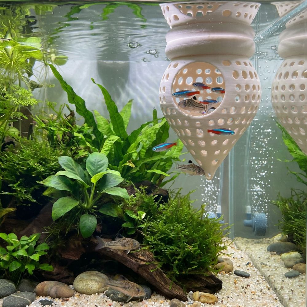 3D Printed Floating Fish Hammo - đánh giá và giá Aquarium Fish Food