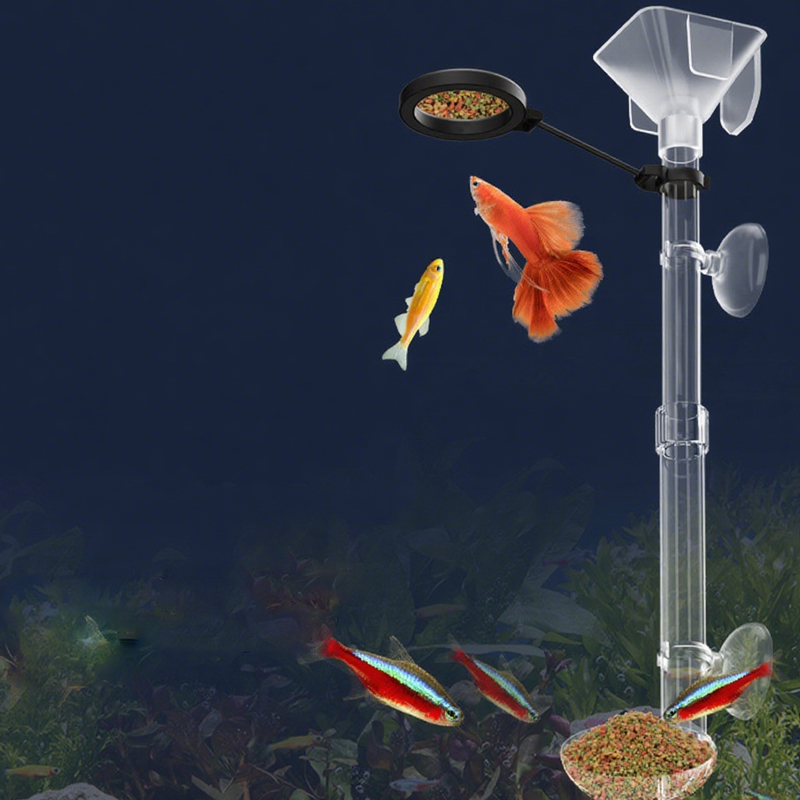 Acrylic Aquarium Fish Feeder T - đánh giá và giá Aquarium Fish Food