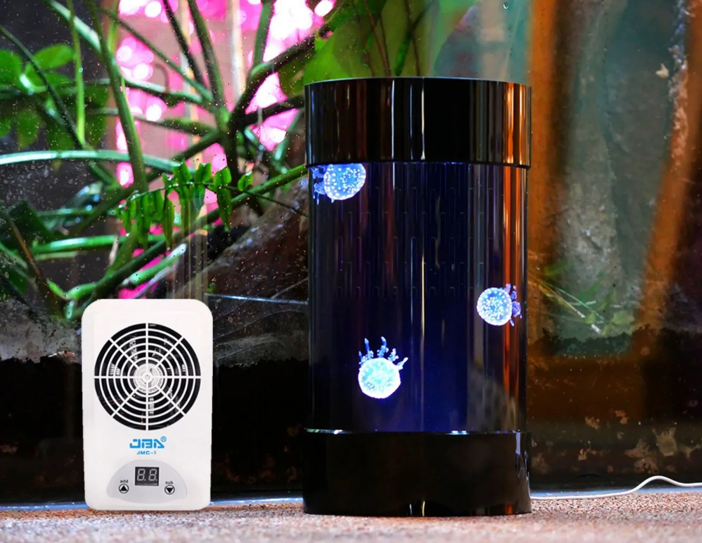 Best Amazon Sales Jellyfish Ta - đánh giá và giá Aquarium Fish In Amazon