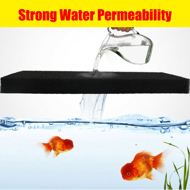 Phụ Kiện Hồ Thủy Sinh Hóa Tran - đánh giá và giá Aquarium Fish Yellow And Black