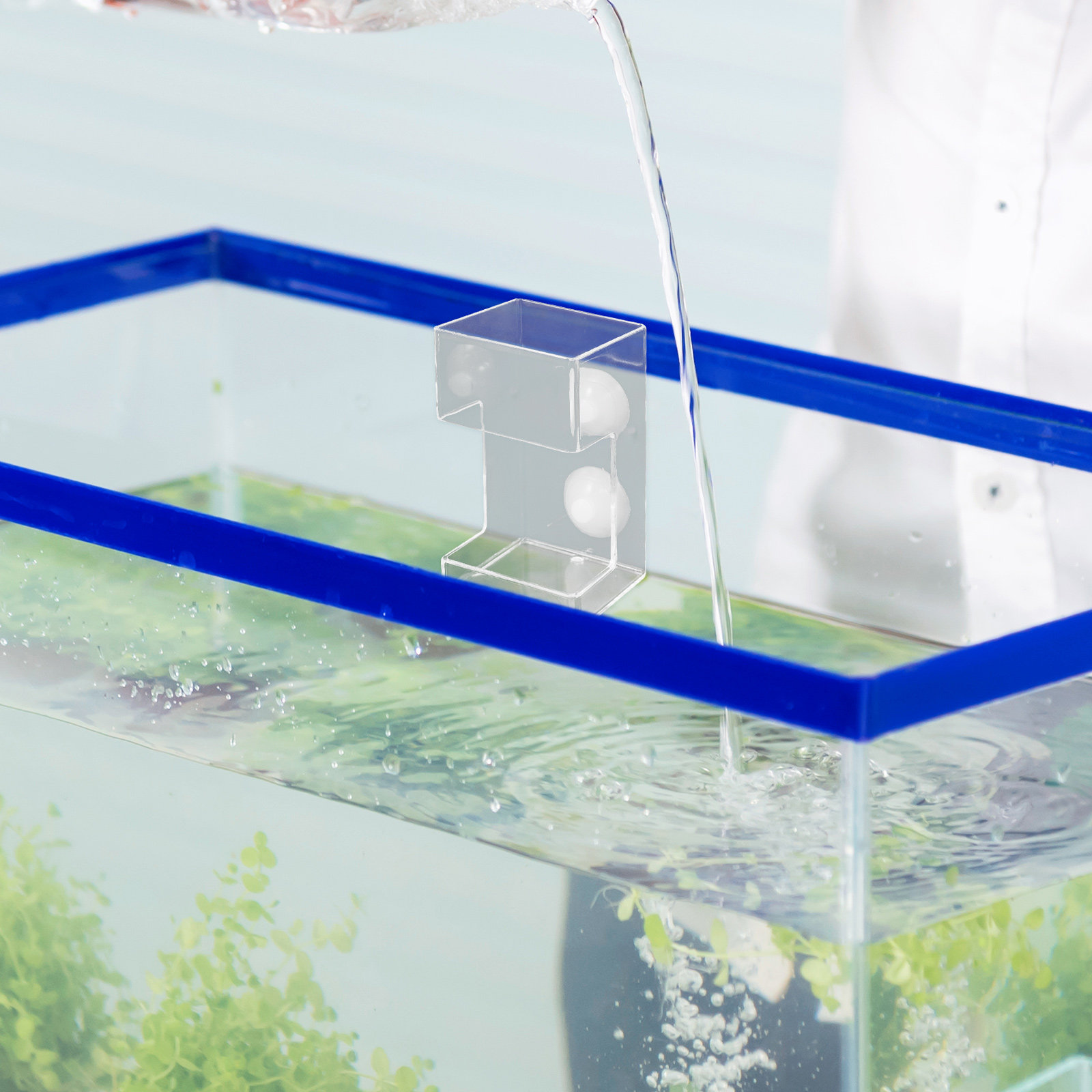 Aquarium Acrylic Fish Feeder F - đánh giá và giá Aquarium Fish Feeder Automatic