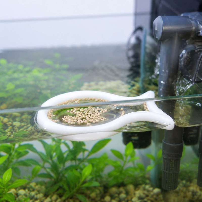Fish Shaped Floating Feeding R - đánh giá và giá Aquarium Fish Food