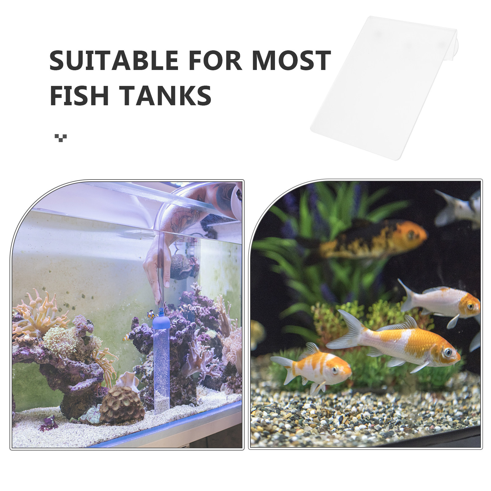 Removable Fish Breeding Lightw - đánh giá và giá Aquarium Fish Discus