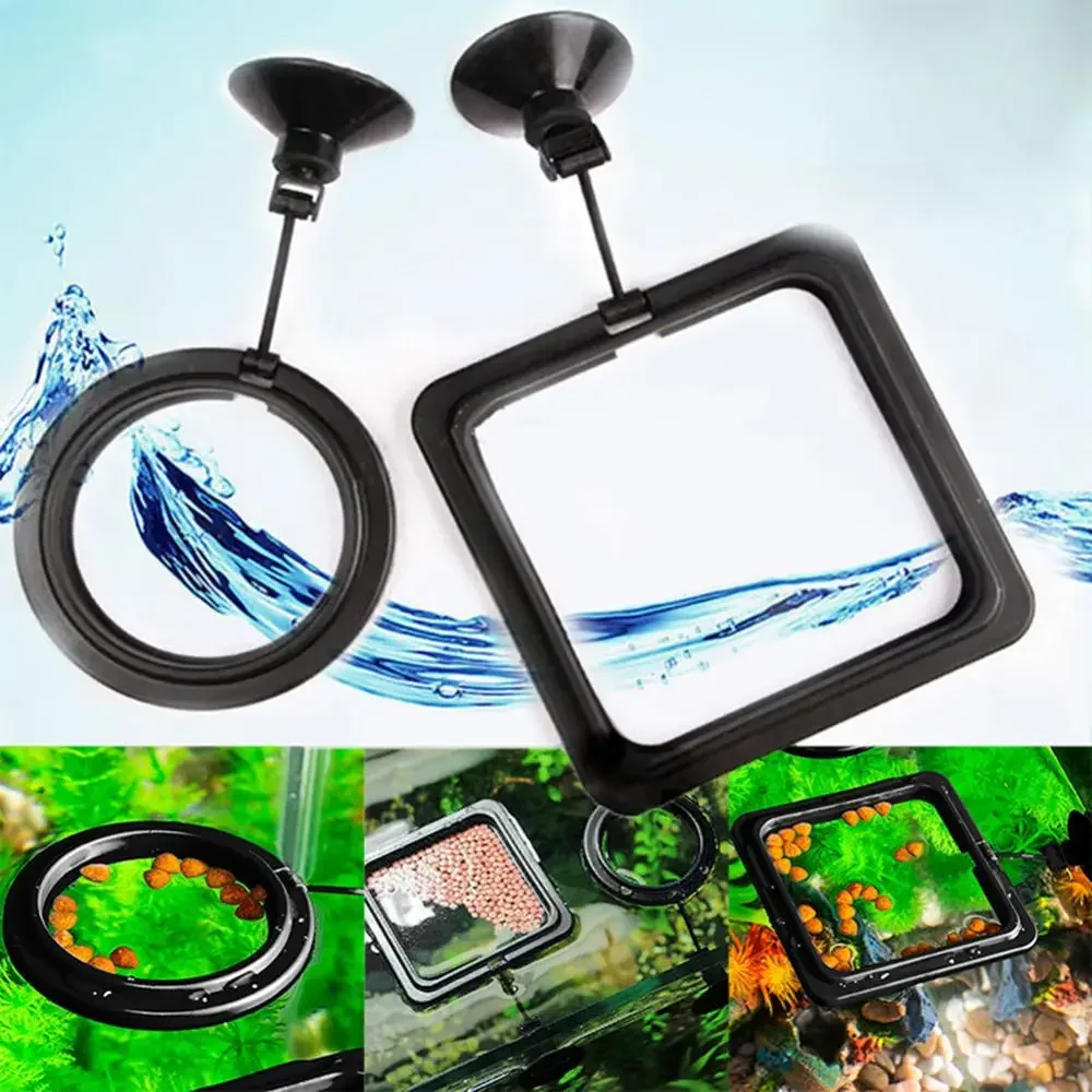 Feed Suction Cup Aquarium Feed - đánh giá và giá Aquarium Fish Food