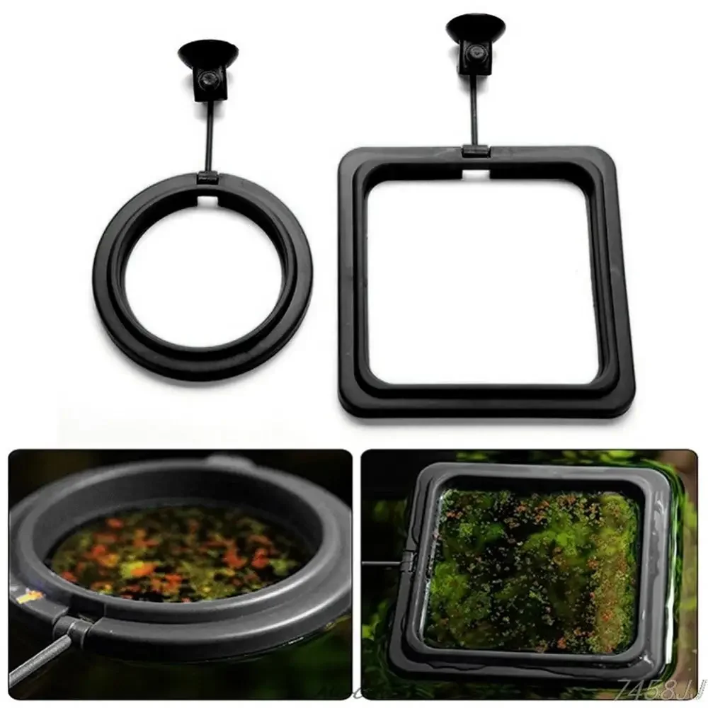 Feed Suction Cup Aquarium Feed - đánh giá và giá Aquarium Fish Food