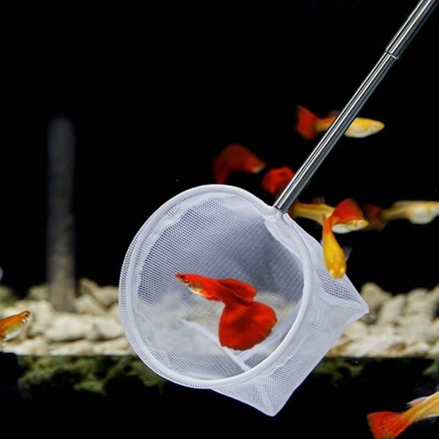 Aquarium Fish Net - a Retracta - đánh giá và giá Aquarium Fish Food