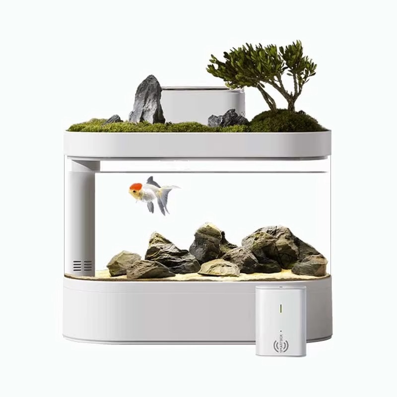 Desktop Smart Aquarium Fish Ta - đánh giá và giá Aquarium Fish Feeder Automatic