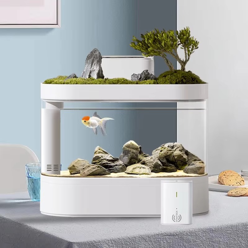 Desktop Smart Aquarium Fish Ta - đánh giá và giá Aquarium Fish Feeder Automatic