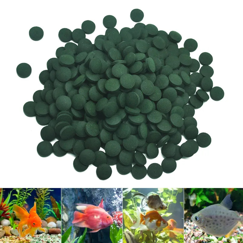 50-300Pcs High Purity Spirulin - đánh giá và giá Aquarium Fish Food
