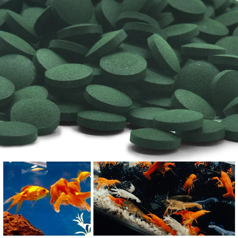 50-300Pcs High Purity Spirulin - đánh giá và giá Aquarium Fish Food