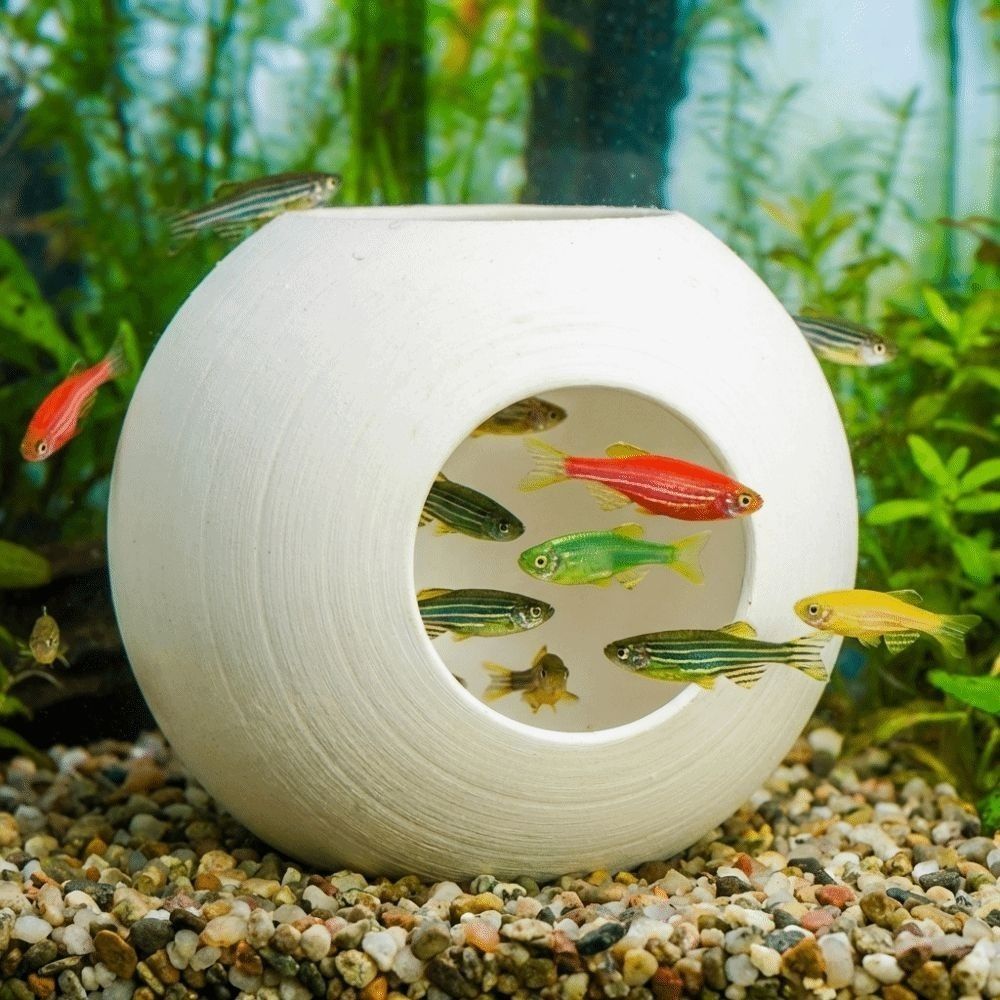 Plastic Fish Shrimp Hiding Cav - đánh giá và giá Aquarium Fish Discus