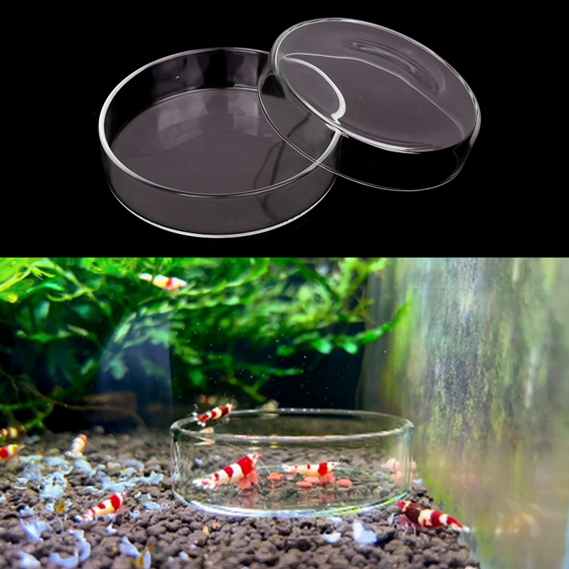 Shrimp Feeding Dish High Trans - đánh giá và giá Aquarium Fish Food