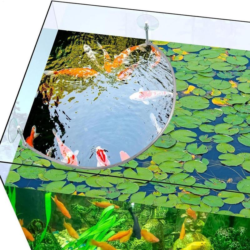 Floating Plant Corral Fish Fee - đánh giá và giá Aquarium Fish Food
