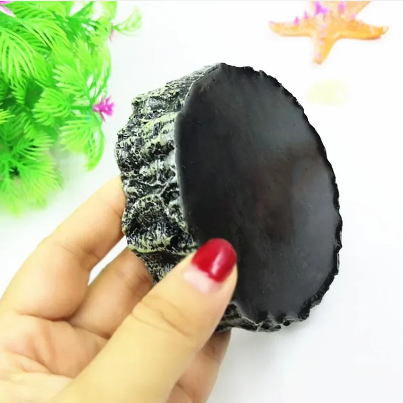 Thú Cưng Động Vật Bò Sát Ăn Bá - đánh giá và giá Aquarium Fish Food