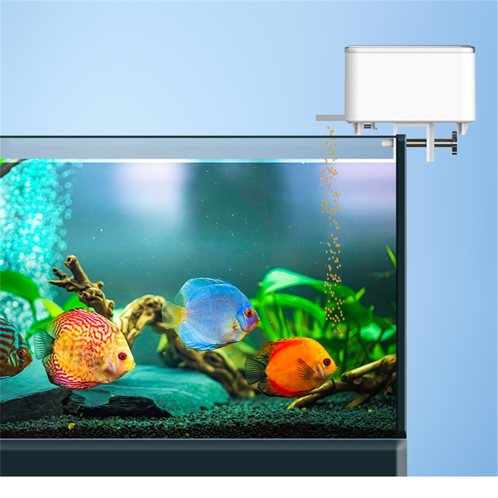 WiFi Smart Automatic Feeder Aq - đánh giá và giá Aquarium Fish Feeder Automatic