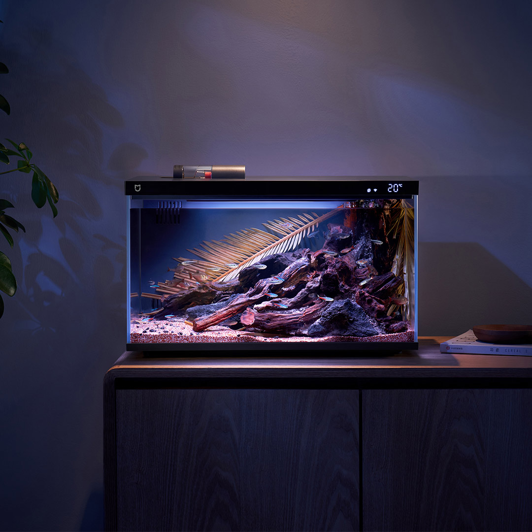Xiaomi Mijia Smart Fish Tank M - đánh giá và giá Xiaomi Aquarium Fish Tank