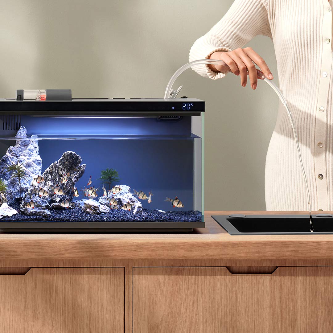 Xiaomi Mijia Smart Fish Tank M - đánh giá và giá Xiaomi Aquarium Fish Tank